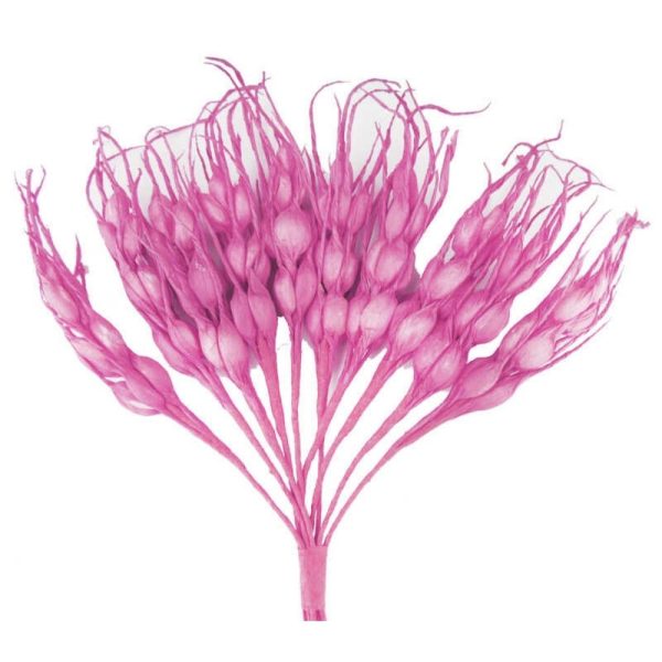 Başak Çiçek 20'li -Pembe