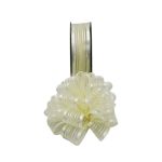 Krem Kenarı Gümüş Simli Çekme Kurdele 2.5 cm